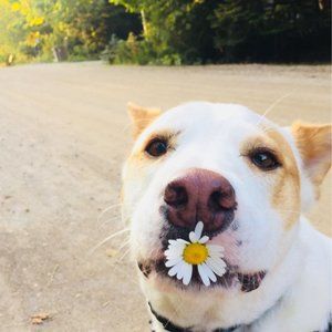 Meet your Posher, Flip's Closet